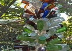 Bud Quigleys Bottles